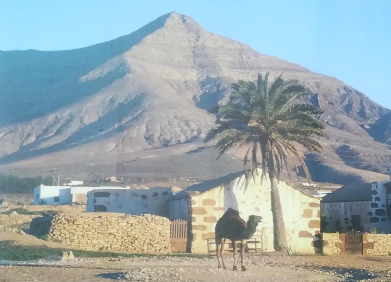 Bed & Breakfast Descanso Y Relax Puerto del Rosario  Spanien